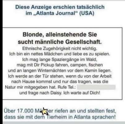 Hunde Memes-Beitrag-Bild