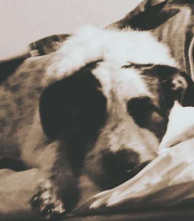 FarbenFoto - Challenge: Sepia-Beitrag-Bild