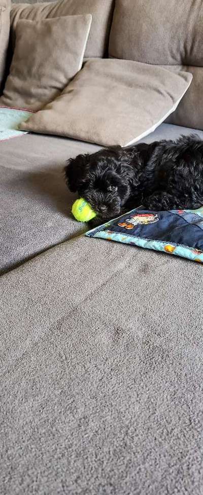 10. Farben Foto-Challenge ---- Blau-Beitrag-Bild