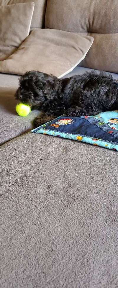 10. Farben Foto-Challenge ---- Blau-Beitrag-Bild