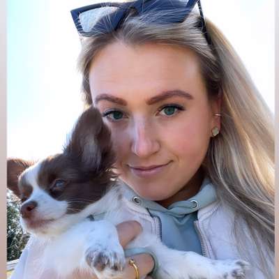 Hundetreffen-Welpentreffen für kleine Hunde-Profilbild