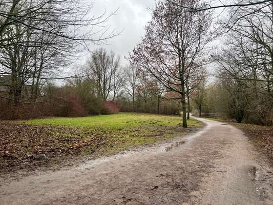 Hundeauslaufgebiet-Hassee/ Russee Berliner Viertel-Bild