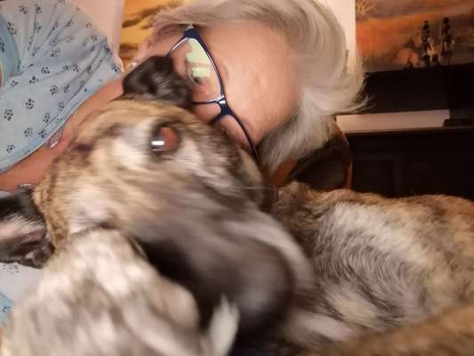 Euer schönstes Bild mit eurem Hund gemeinsam!-Beitrag-Bild