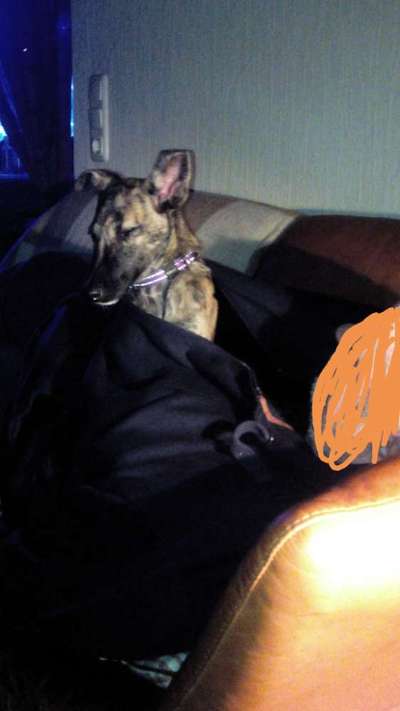 Das erste Foto-Beitrag-Bild