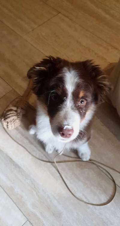 28. Handy-Fotochallenge - Damals und heute-Beitrag-Bild