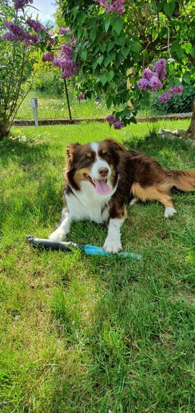 Fotochallenge 129-Beitrag-Bild