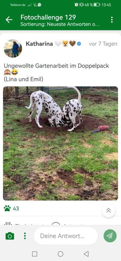 Fotochallenge 129-Beitrag-Bild