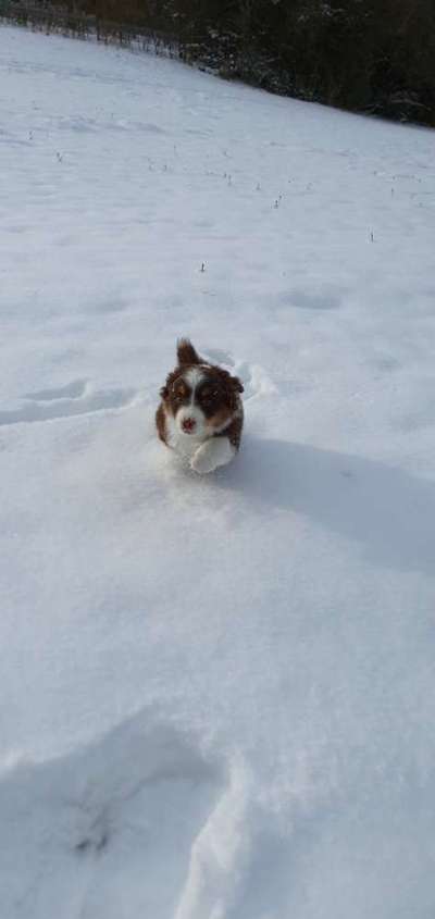 Handyfoto Challange  - Winter,Schnee-Beitrag-Bild