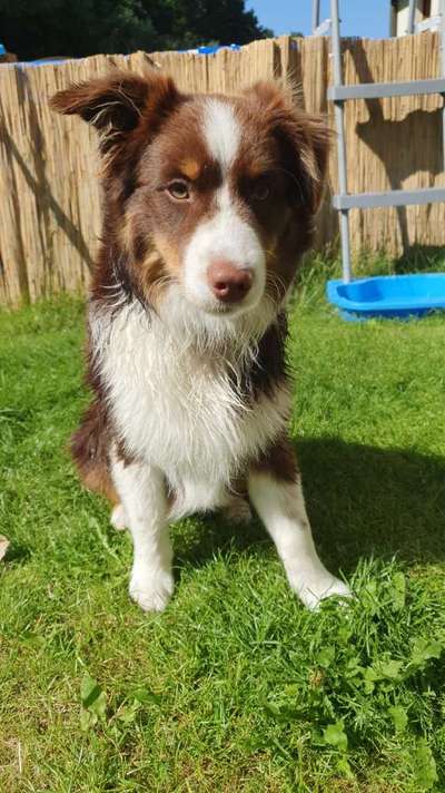 Fotochallange Nr. 46

Schattenspiele BEENDET!!!!!-Beitrag-Bild