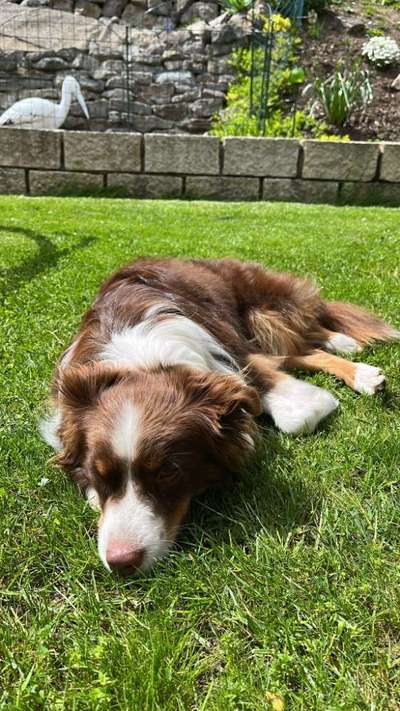 Foto Challenge Nr. 134-Beitrag-Bild