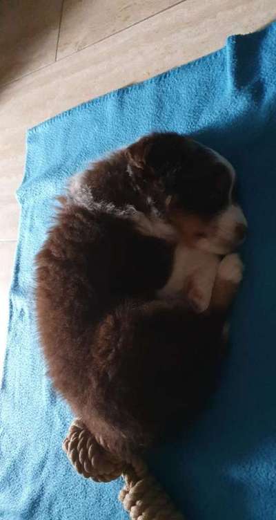 Schlafzeit!💖-Beitrag-Bild