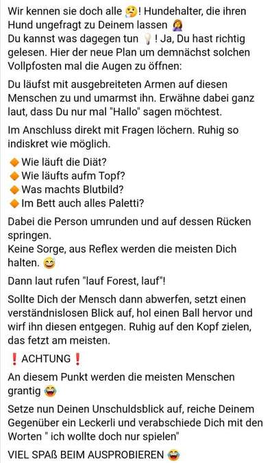 Jeder möchte zu meinem Welpen-Beitrag-Bild