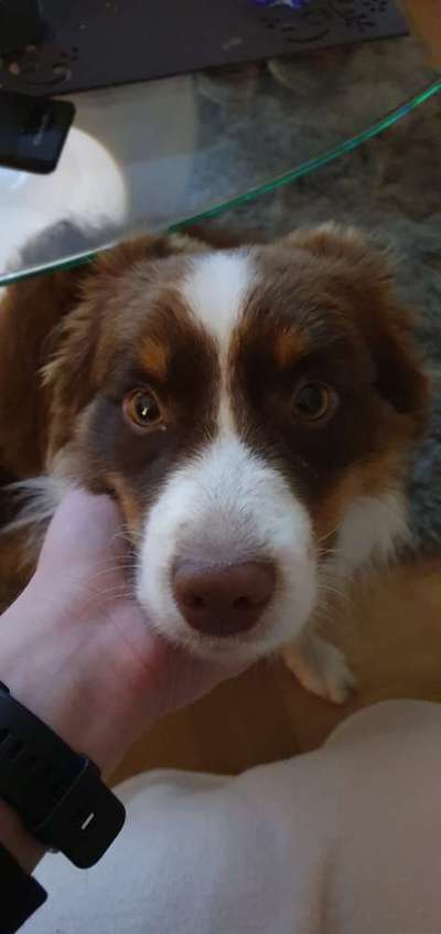 Fotochallange Nr. 57     PORTRÄT.   Beendet!!!!!!!!-Beitrag-Bild