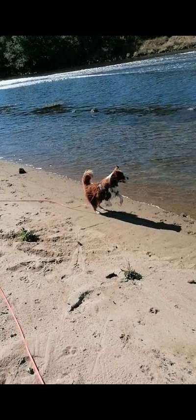 Fotochallenge Nr. 94 It's summer time-Beitrag-Bild