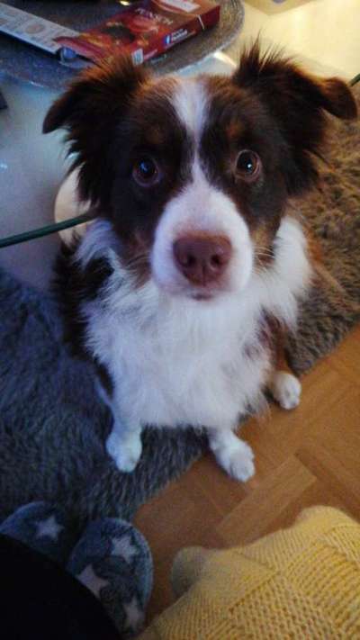 28. Handy-Fotochallenge - Damals und heute-Beitrag-Bild