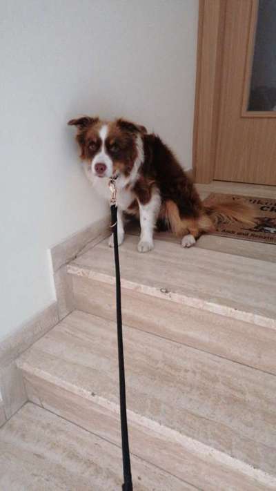 21. Handy-Foto-Challenge-Beitrag-Bild