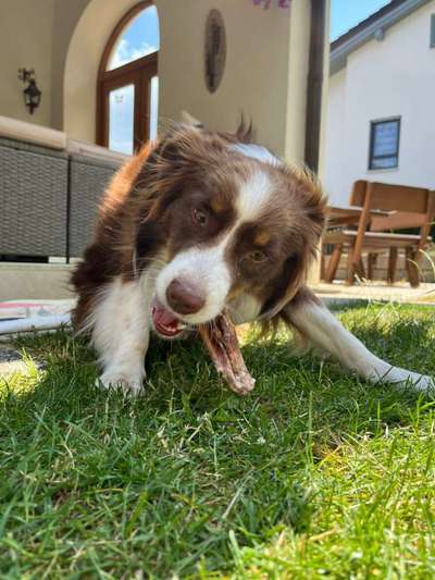 140. Foto Challenge - schattiges Plätzchen-Beitrag-Bild