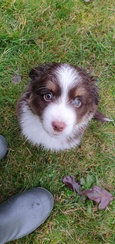 Fotochallange Nummer 5-Beitrag-Bild