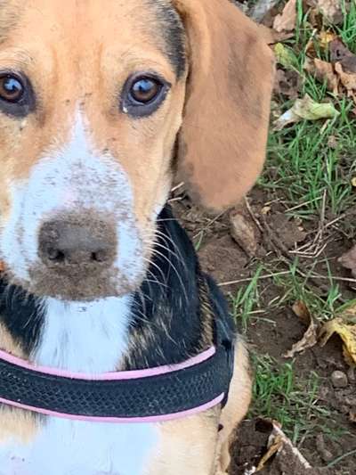 Fotochallange Nr. 57     PORTRÄT.   Beendet!!!!!!!!-Beitrag-Bild