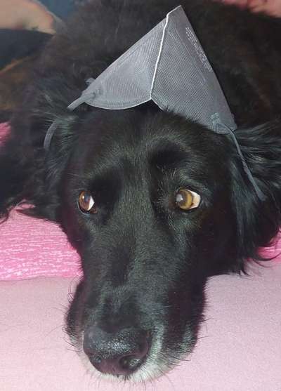 Fotochallange Nr. 57     PORTRÄT.   Beendet!!!!!!!!-Beitrag-Bild