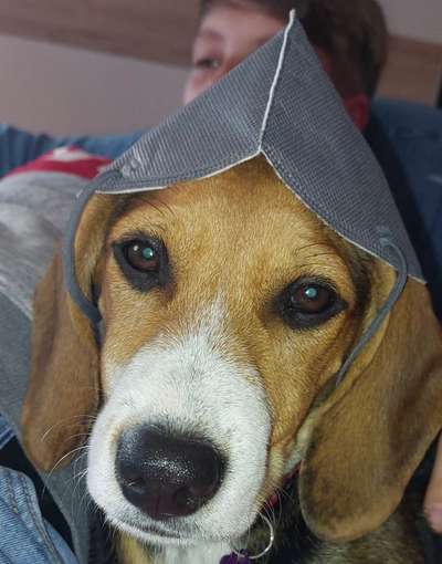 Fotochallange Nr. 57     PORTRÄT.   Beendet!!!!!!!!-Beitrag-Bild