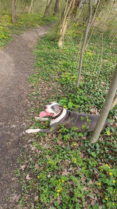 Zeigt mal eure besten Freunde-Beitrag-Bild