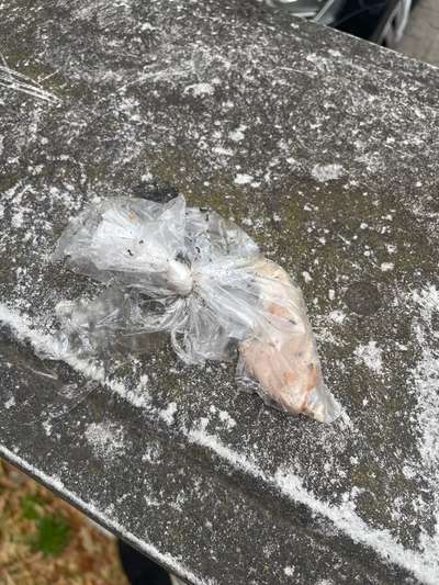 Giftköder-Frühstücksbeutel mit Knochen-Bild