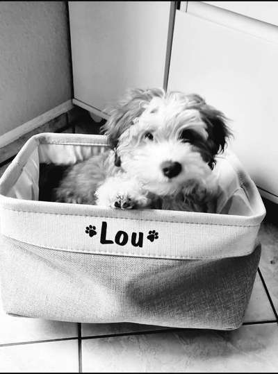 Foto-Challenge 76: Foto in Schwarz-Weiss-Beitrag-Bild