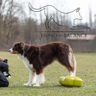 %{de_profession_title}-Meine Dienstleistungen-Bild