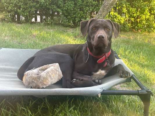 12. Farben Foto Challenge --- Braun-Beitrag-Bild