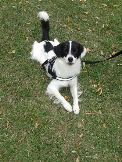 Doppelgänger gesucht !-Beitrag-Bild