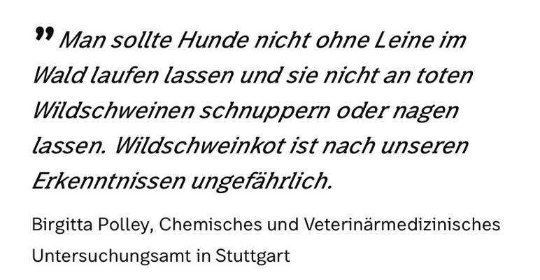 Aujeszkysche Krankheit/ Wildschwein Virus - wie geht ihr spazieren?-Beitrag-Bild