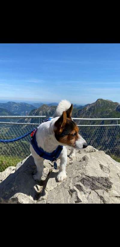 Fotochallenge Nr.100 Urlaubsimpressionen-Beitrag-Bild