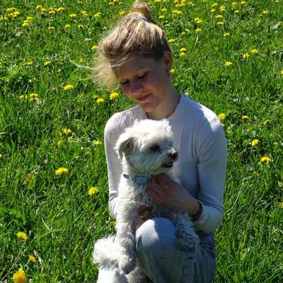 Hundetreffen-Suche Gassigehpartner :)-Bild