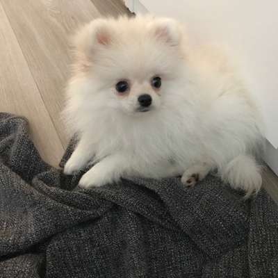 Erstes Bild-Beitrag-Bild