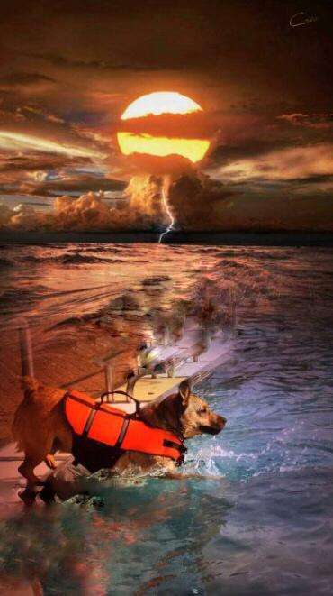 Moviestar-Pics!-Beitrag-Bild