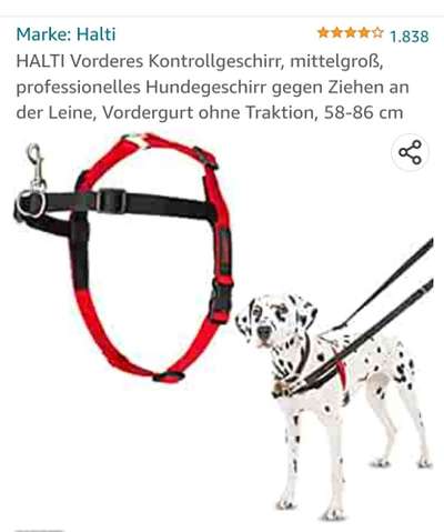 Seltsames Geschirr-Beitrag-Bild