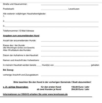 Hundesteuer Betrag-Beitrag-Bild