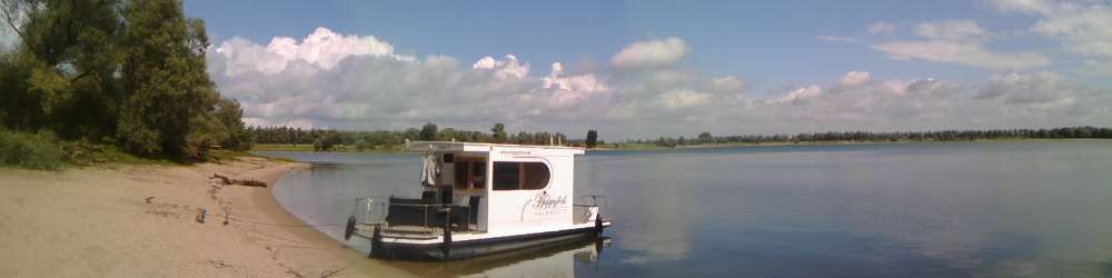 Urlaub ohne Hund-Beitrag-Bild