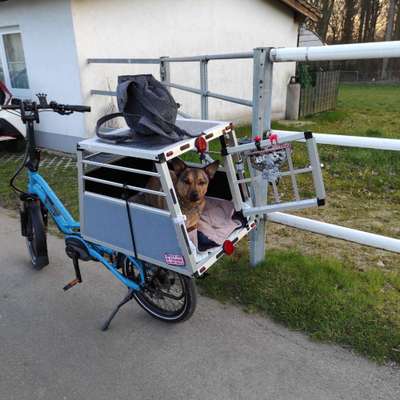 Lastenfahrrad mit Hund-Beitrag-Bild