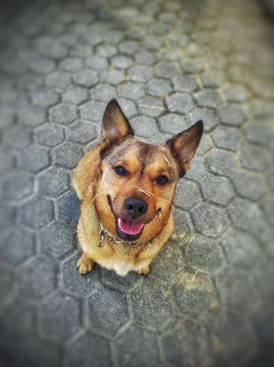 Das beste grinsefoto-Beitrag-Bild