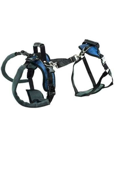 Seltsames Geschirr-Beitrag-Bild