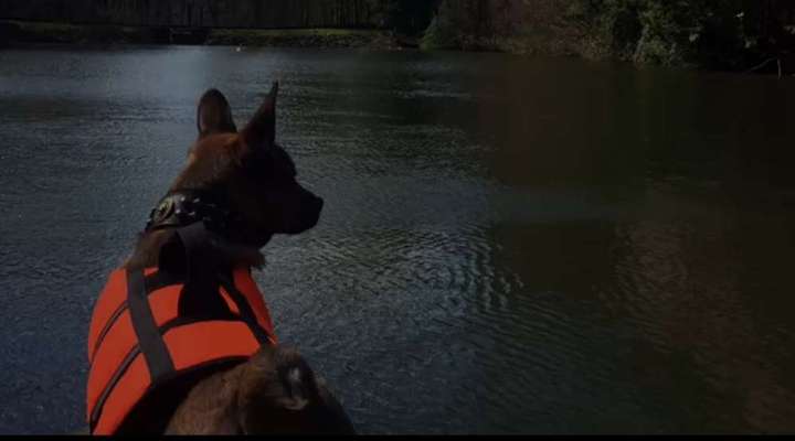 Was macht ihr am liebsten?-Beitrag-Bild