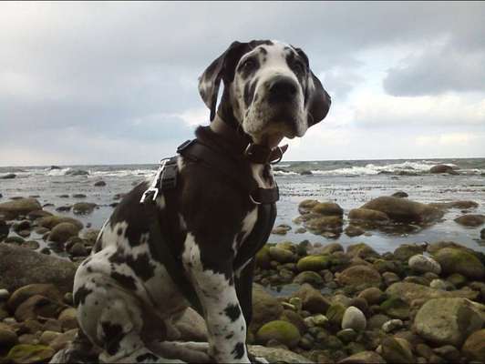 Umbedingt hilfe gebraucht-Beitrag-Bild