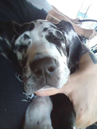 Umbedingt hilfe gebraucht-Beitrag-Bild