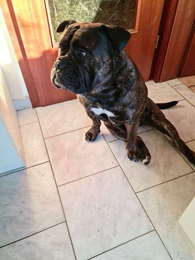 Geschreddert!-Beitrag-Bild