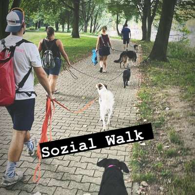 Giftköder-Sozial Walk-Bild