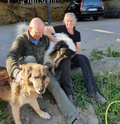 Unsere Fellnasen im Regenbogenland-Beitrag-Bild