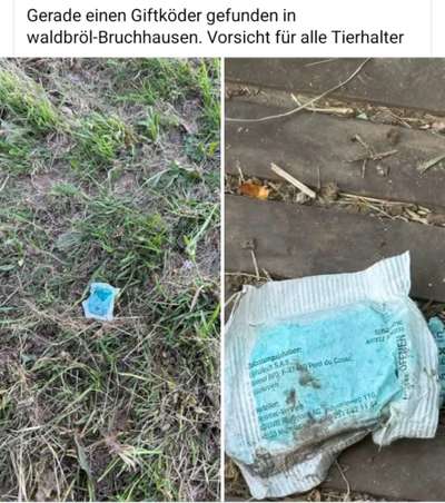 Giftköder-Giftköder/ Rattengift-Bild