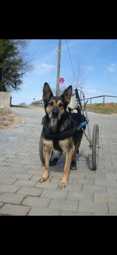 Was hat euch heute genervt?-Beitrag-Bild